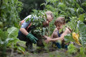 agriculture-postgraduate-study-blog-scaled.jpg.optimal.jpg agriculture-postgraduate-study-blog-scaled.jpg.optimal.jpg